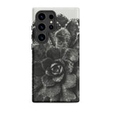 Pyramidal Saxifrage (saxifraga Aizoon) - Karl Blossfeldt Phone Case Samsung Galaxy S24 Ultra / Matte Black White Textured Succulent Plant