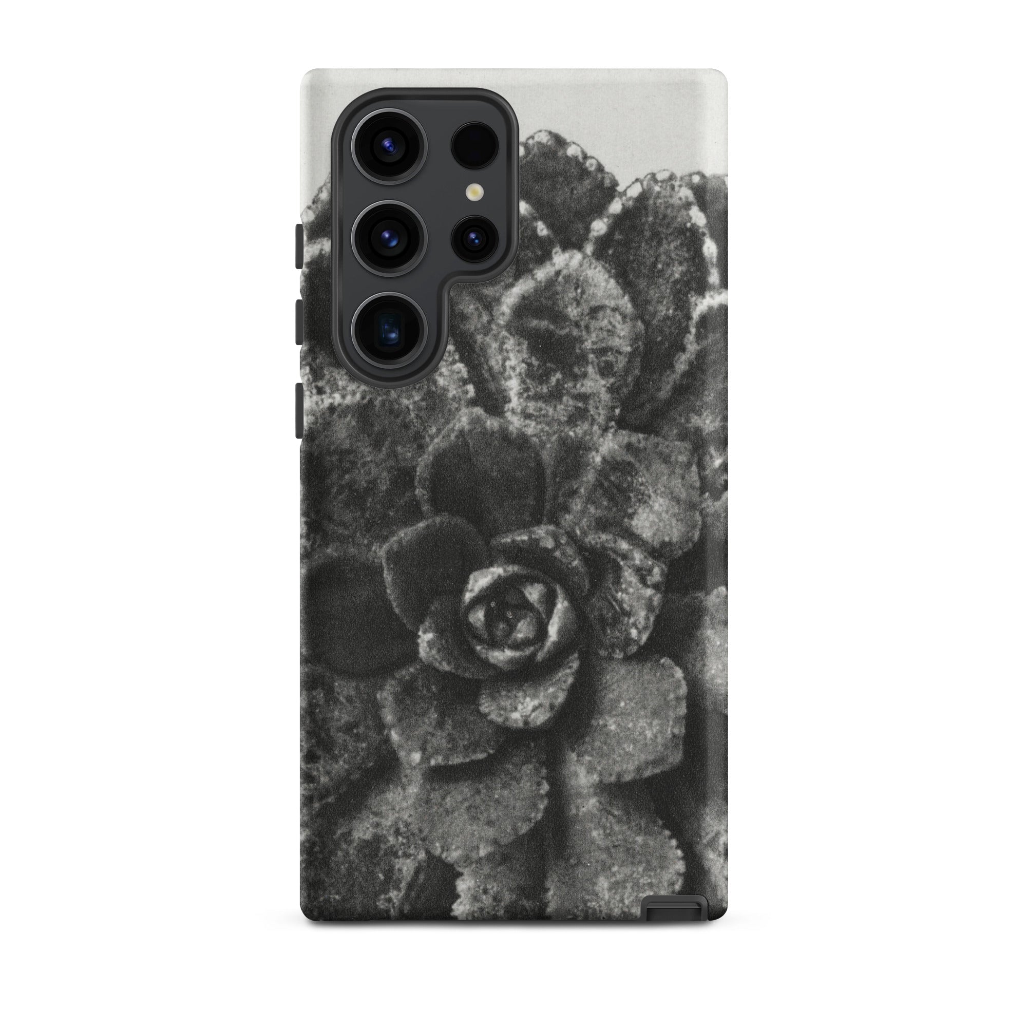 Pyramidal Saxifrage (saxifraga Aizoon) - Karl Blossfeldt Samsung Case, Galaxy S23 Ultra / Matte, Black White Succulent Phone Case