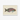 Framed Vintage-style Illustration Colorful Parrotfish Iridescent Pink Green Luigi Balugani, Kaleidoscopic Queen, Balugani’s 18th-century