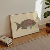Queen Parrotfish - Luigi Balugani Sea Life Art Print / Canvas, Luigi Balugani, Kaleidoscopic Queen Parrotfish, Balugani’s 18th-century Brush