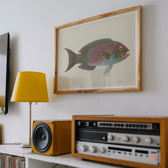Queen Parrotfish - Luigi Balugani Sea Life Art Print / Canvas, Luigi Balugani, Kaleidoscopic Queen Parrotfish, Balugani’s 18th-century Brush