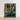 Framed Art Print Vibrant Orange Bird-of-paradise Flower Surrounded Robert John Thornton, Queen Plant’s Regal Presence, Floral