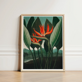 Queen Plant - Robert John Thornton Floral Art Print / Canvas Framed Artwork Vibrant Orange Bird-of-paradise Flower Surrounded Lush, Plant’s