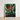 Framed Artwork Vibrant Orange Bird-of-paradise Flower Surrounded Dark Robert John Thornton, Queen Plant’s Regal Presence, Floral