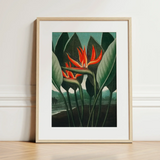 Queen Plant - Robert John Thornton Floral Art Print / Canvas Framed Artwork Vibrant Orange Bird-of-paradise Flowers Lush Green Robert John
