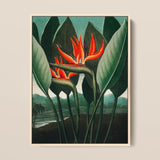 Queen Plant - Robert John Thornton Floral Art Print / Canvas Framed Artwork Vibrant Orange Black Bird-of-paradise Flowers Surrounded Robert