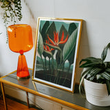 Queen Plant - Robert John Thornton Floral Art Print / Canvas Framed Botanical Print Vibrant Red Bird Paradise Flowers Robert John Thornton,