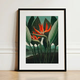 Queen Plant - Robert John Thornton Floral Art Print / Canvas Framed Vibrant Orange Bird-of-paradise Flower Surrounded, Plant’s Regal