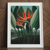 Queen Plant - Robert John Thornton Floral Art Print / Canvas White-framed Botanical Vibrant Orange Red Bird-of-paradise, Plant’s Regal