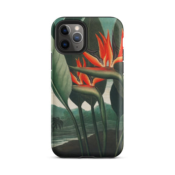 Queen Plant - Robert John Thornton Iphone Case, 11 Pro / Matte, Bird Paradise Flower Phone Case