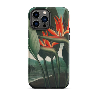 Queen Plant - Robert John Thornton Iphone Case, 13 Pro Max / Matte, Floral-patterned Phone Case