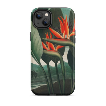 Queen Plant - Robert John Thornton Iphone Case, 14 Plus / Matte, Bird Paradise Flower Phone Case