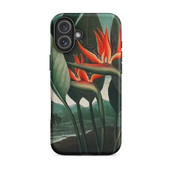 Queen Plant - Robert John Thornton Iphone Case, 16 Plus / Matte, Bird Paradise Phone Case
