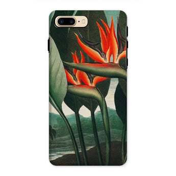 Queen Plant - Robert John Thornton Iphone Case, 8 Plus / Matte, Bird Paradise Flower Phone Case