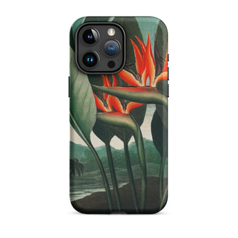 Queen Plant - Robert John Thornton Phone Case Iphone 15 Pro Max / Matte Bird Paradise Flower Phone Case Queen Plant, Orange Bloom Thrusts,