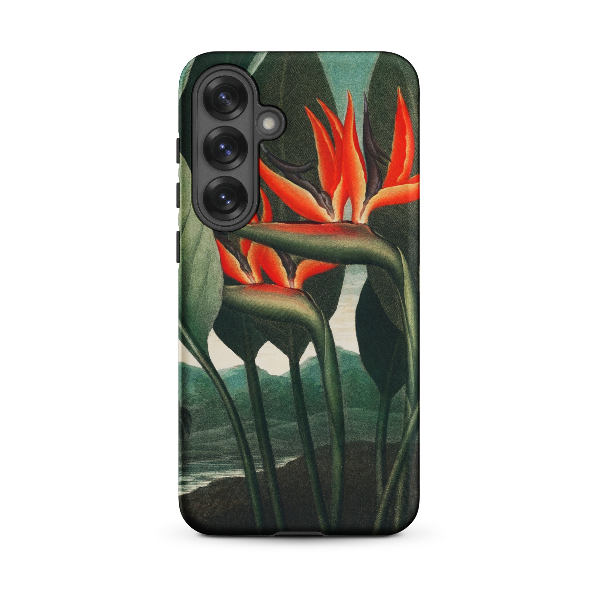 Queen Plant - Robert John Thornton Samsung Case, Galaxy S25 Plus / Matte, Phone Case Vibrant Bird Paradise Floral Design