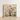 Framed Artwork Detailed Colorful Illustration Birds Blossoms Ornate Captivating Queer Menagerie, Alien Gay Bird, Taxonomy