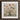 Framed Artwork Detailed Colorful Illustration Birds Flowers Off-white Queer Menagerie, Alien Gay Bird, 18th-century Scientific