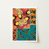 Rainbow Butterflies - E.a. Seguy Pochoir Art Print / Canvas Vibrant Butterfly-themed Bold Yellow Black Pink, Chromatic Exuberance Prints