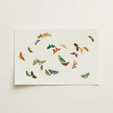 Rainbow Butterflies - Kamisaka Sekka Art Print / Canvas Sheet Paper Collection Colorful Intricately Designed Butterfly Stickers Kamisaka