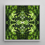 Reach out - Contemporary Botanical Op Art Framed Canvas, 12x12’’ / 31x31cm / White Floating Frame, Symmetrical Green Leaf Pattern White