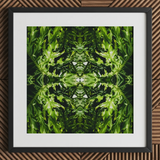 Reach out - Contemporary Botanical Op Art Print / Canvas, 12x12’’ / 31x31cm / Black Frame / Matboard, Posters Prints & Visual Artwork, Toby