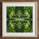 Reach out - Contemporary Botanical Op Art Print / Canvas, 12x12’’ / 31x31cm / Natural Frame / Matboard, Posters Prints & Visual Artwork,
