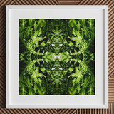 Reach out - Contemporary Botanical Op Art Print / Canvas, 12x12’’ / 31x31cm / White Frame / Matboard, Posters Prints & Visual Artwork, Toby