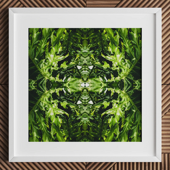 Reach out - Contemporary Botanical Op Art Print / Canvas, 12x12’’ / 31x31cm / White Frame / Matboard, Posters Prints & Visual Artwork, Toby