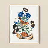 Red Avadavat Gentian Sawfly Swallowtail and Shells - James Bolton Art Print / Canvas Framed Botanical Illustration Vibrant Orange Yellow