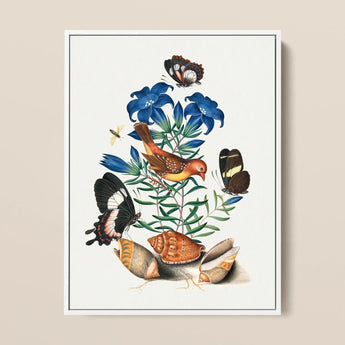 Red Avadavat Gentian Sawfly Swallowtail and Shells - James Bolton Art Print / Canvas Framed Botanical Illustration Vibrant Orange Yellow