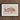 Framed Illustration Pink Fish Detailed Fins Scales Set Luigi Balugani, Balugani’s Red Snapper, Sea