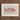 Framed Illustration Pink Fish Detailed Fins Scales Set Luigi Balugani, Balugani’s Red Snapper, Sea