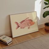 Red Snapper - Stampa artistica di vita marina di Luigi Balugani / Tela, Poster, stampe e opere d’arte visiva, Toby Leon