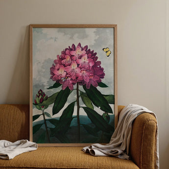 Pontic Rhododendron - Lámina artística de Robert John Thornton / Lienzo, Pósters, impresiones y arte visual, Toby Leon
