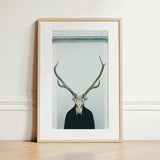Minimalist Framed Art Print Stark Black-and-white Deer Skull Figure Stands