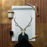 Ritual - Creepy Deer Skull Art Print / Canvas Minimalist Art Print Stark White Deer Skull Prominent Figure Stands