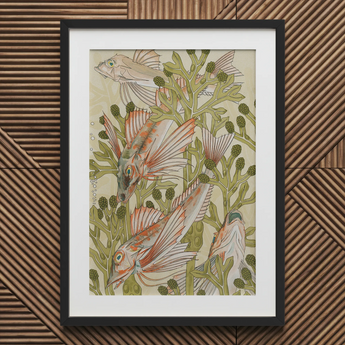 Rouget - Maurice Pillard Verneuil Art Nouveau Print / Canvas Framed Artwork Intricately Illustrated Fish Among Green Seaweed Auguste