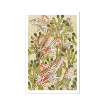 Rouget - Maurice Pillard Verneuil Art Nouveau Print / Canvas Pink Orange Fish Among Green Seaweed Auguste Racinet, Maurice Pillard