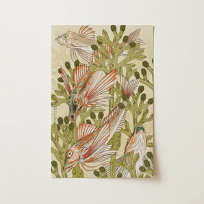 Rouget - Maurice Pillard Verneuil Art Nouveau Print / Canvas Rectangular Intricately Illustrated Fish Among Green Auguste Racinet, Prints