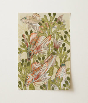 Rectangular Art Print Intricately Illustrated Fish Among Green Auguste Racinet, Maurice Pillard Verneuil, Nouveau