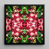 Ruby Reds - Bkk Flower Market Orchid Op-Art-Print / Leinwand, 12x12’’ / 31x31cm / Schwarzer Rahmen, Poster, Drucke & visuelle Kunstwerke, Toby Leon