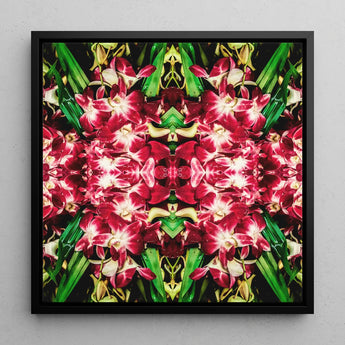 Ruby Reds - Bkk Flower Market Orchid Op-Art-Print / Leinwand, 12x12’’ / 31x31cm / Schwarzer Rahmen, Poster, Drucke & visuelle Kunstwerke, Toby Leon