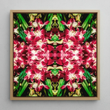 Ruby Reds - Bkk Flower Market Orchid Op-Art-Print / Leinwand, 12x12’’ / 31x31cm / Naturrahmen, Poster, Drucke & visuelle Kunstwerke, Toby Leon