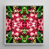 Ruby Reds - Bkk Flower Market Orchid Op-Art-Print / Leinwand, 12x12’’ / 31x31cm / Weißer Rahmen, Poster, Drucke & visuelle Kunstwerke, Toby Leon