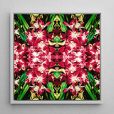 Ruby Reds - Bkk Flower Market Orchid Op Art Print / Canvas Square-framed Artwork Vibrant Symmetrical Kaleidoscopic Pattern Deep Pink
