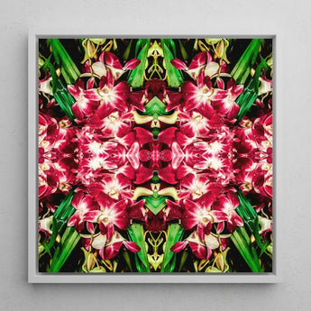 Ruby Reds - Bkk Flower Market Orchid Op Art Print / Canvas Square-framed Artwork Vibrant Symmetrical Kaleidoscopic Pattern Deep Pink