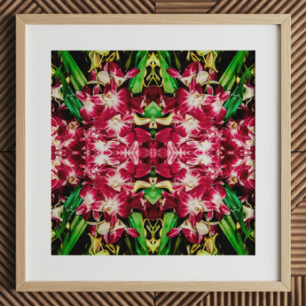 Ruby Reds - Bkk Flower Market Orchid Op Art Print / Canvas Square-framed Artwork Vibrant Symmetrical Mandala Deep Pink White Bangkok’s