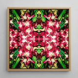 Ruby Reds - Bkk Flower Market Orchid Op Art Print / Canvas Square-framed Artwork Vibrant Symmetrical Mandala Design Deep Pink Bangkok’s,
