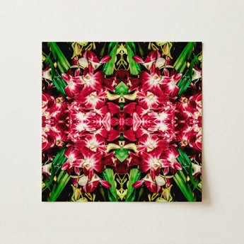 Ruby Reds - Bkk Flower Market Orchid Op Art Print / Canvas Vibrant Red White Orchid Flowers Green Leaves Arranged Bangkok’s Flower, Bangkok